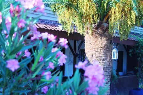 Outdoor Pictures 12