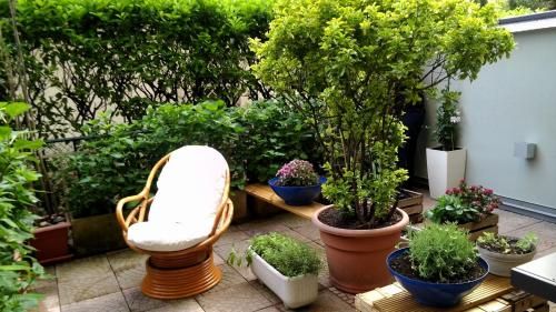 Outdoor Pictures 21