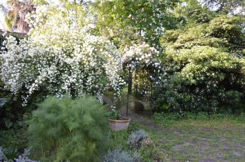 Outdoor Pictures 24