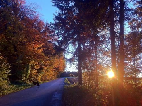 Outdoor Pictures 21