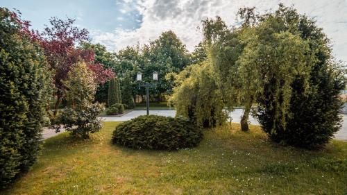 Outdoor Pictures 20