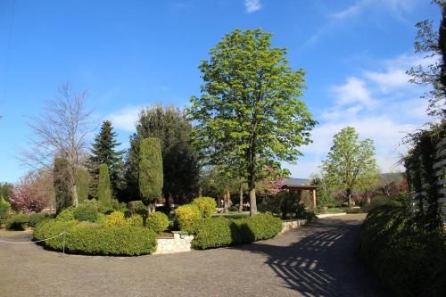 Outdoor Pictures 24