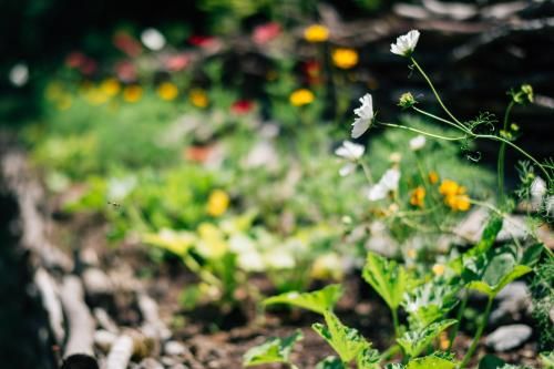 Outdoor Pictures 21