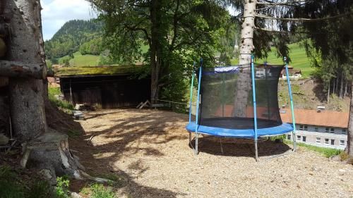 Outdoor Pictures 22