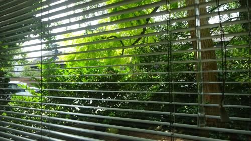 Outdoor Pictures 19