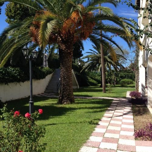 Outdoor Pictures 9