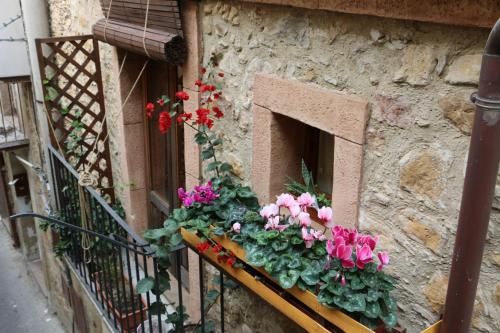 Outdoor Pictures 1