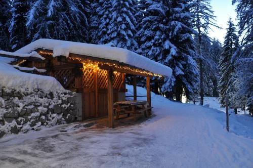 Outdoor Pictures 20