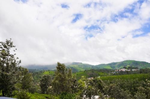 Outdoor Pictures 21