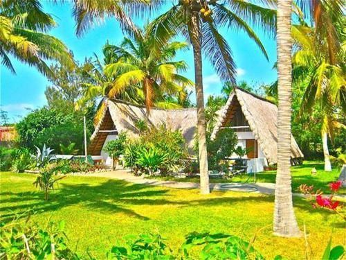 Palmeiras Lodge