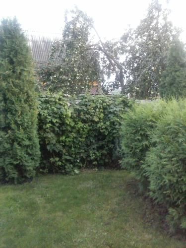Outdoor Pictures 15