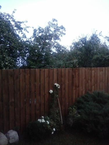 Outdoor Pictures 18