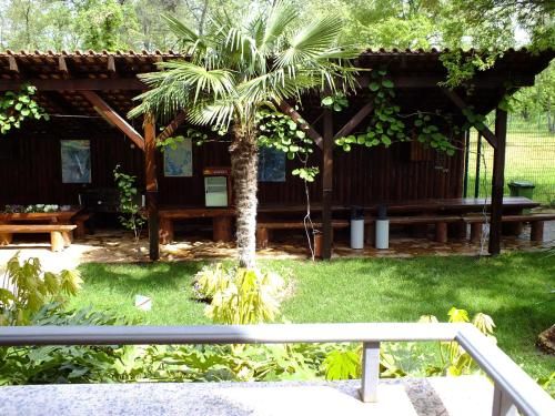 Outdoor Pictures 23