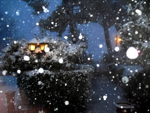 Outdoor Pictures 15