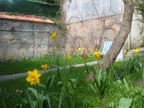 Outdoor Pictures 20