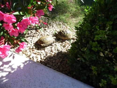 Outdoor Pictures 12