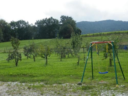 Outdoor Pictures 16