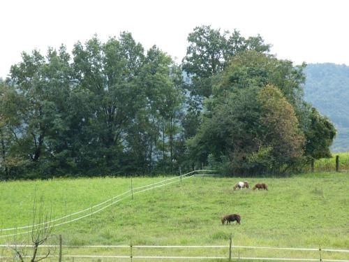 Outdoor Pictures 19
