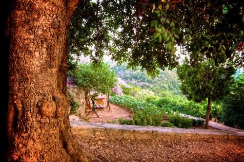 Outdoor Pictures 19
