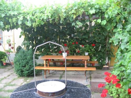 Outdoor Pictures 12