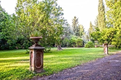 Outdoor Pictures 19