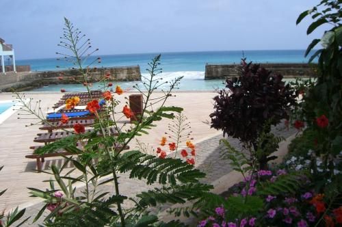 Outdoor Pictures 7