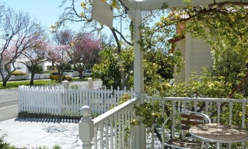 Outdoor Pictures 15