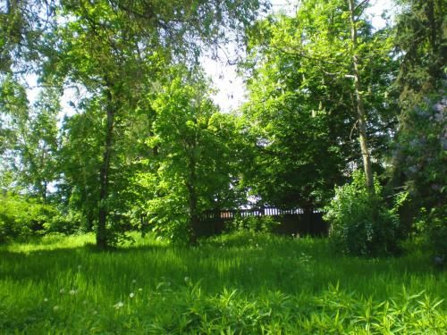 Outdoor Pictures 21