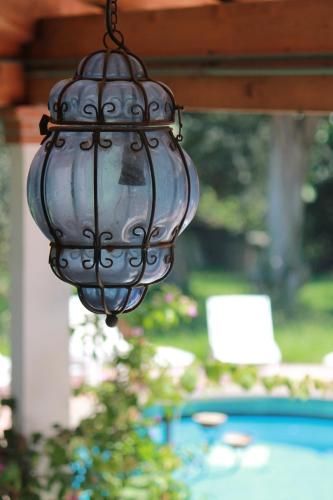 Outdoor Pictures 17