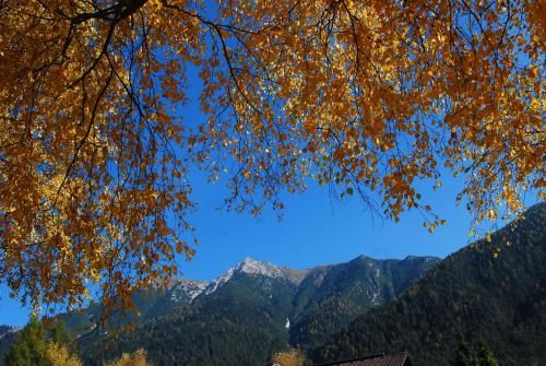 Outdoor Pictures 10