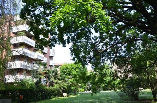 Outdoor Pictures 19