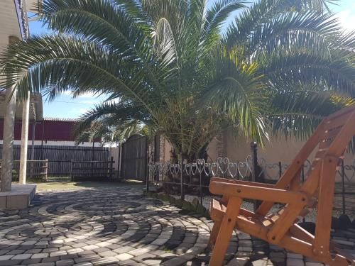 Outdoor Pictures 1