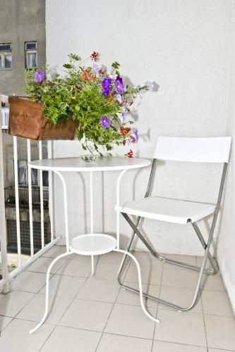 Outdoor Pictures 19