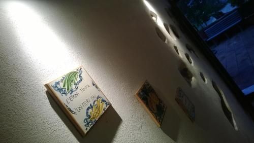 Outdoor Pictures 15