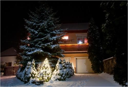 Outdoor Pictures 22