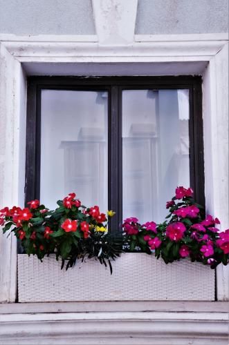 Outdoor Pictures 24