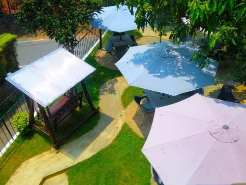Outdoor Pictures 22