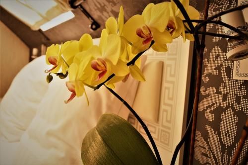Outdoor Pictures 16