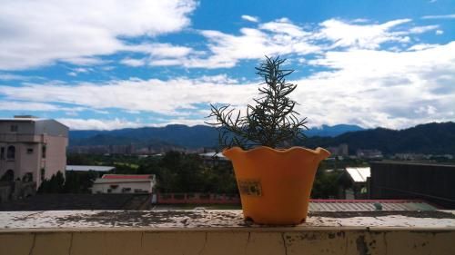 Outdoor Pictures 24