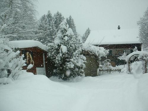 Outdoor Pictures 22