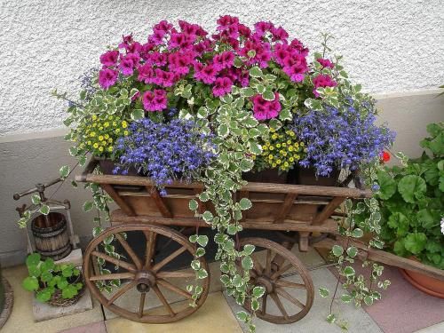 Outdoor Pictures 16