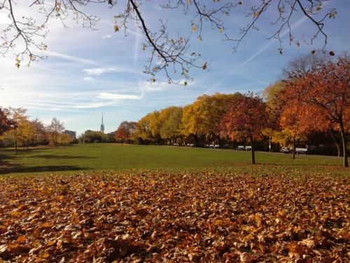 Outdoor Pictures 16