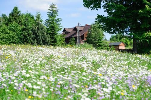 Outdoor Pictures 24