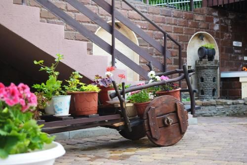 Outdoor Pictures 14