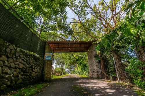 Outdoor Pictures 22