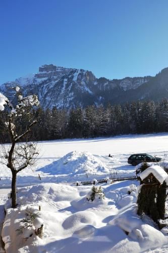Outdoor Pictures 15