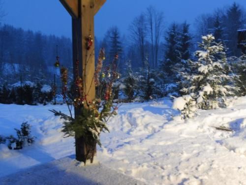 Outdoor Pictures 21