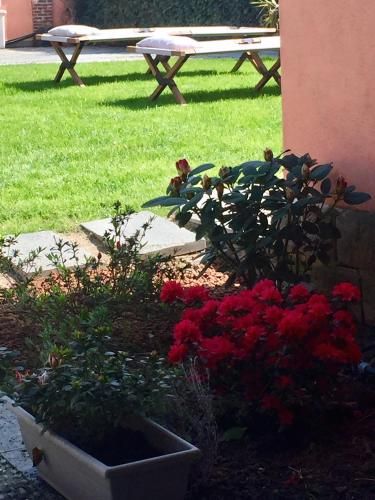 Outdoor Pictures 22