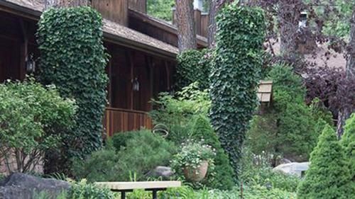 Outdoor Pictures 22