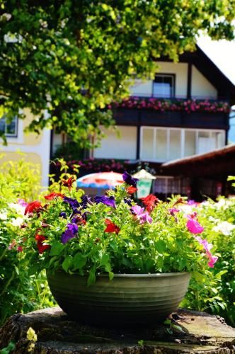 Outdoor Pictures 17